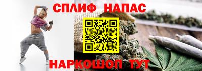 крисы Беслан