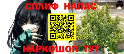 твердый Бийск