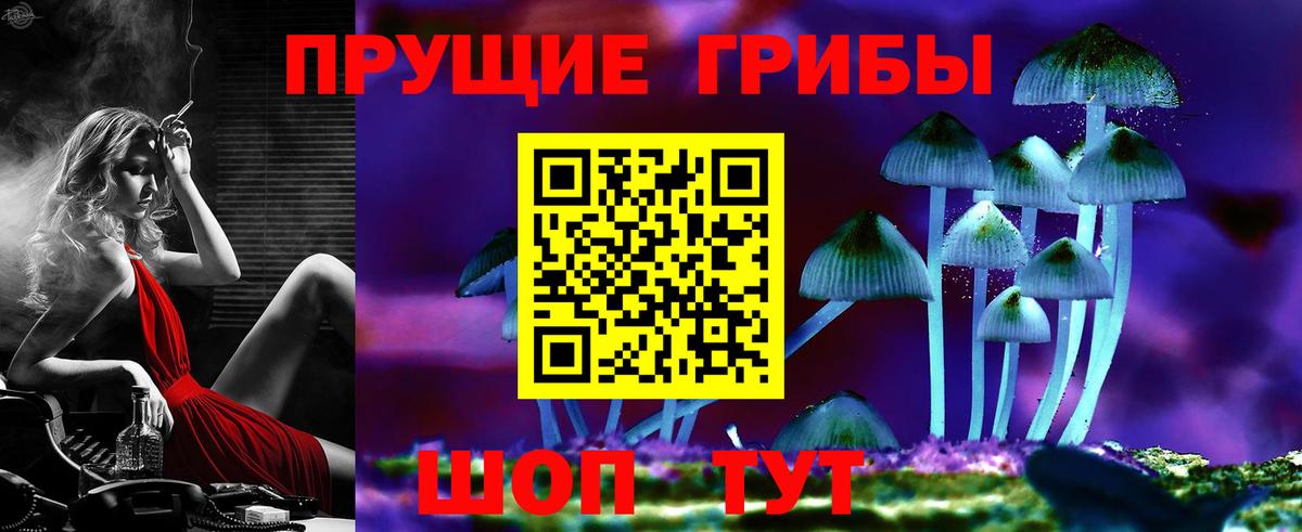 Белгород  Галлюциногенные грибы мицелий  Псилоцибиновые грибы Psilocybe  Вход с VPN 